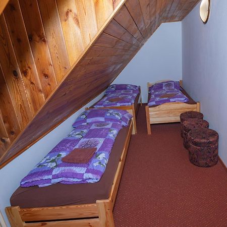Penzion Harry Na Sjezdovce Krkonose Vysoké nad Jizerou エクステリア 写真