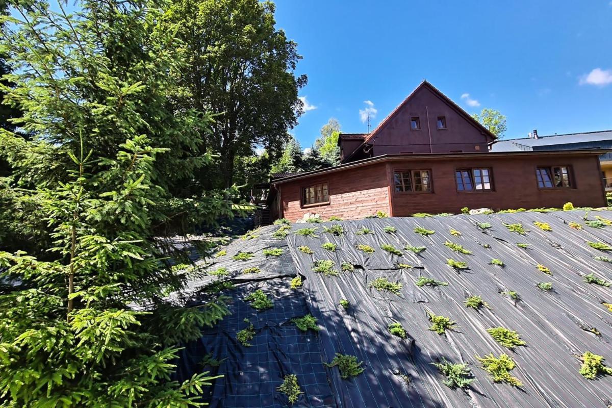Penzion Harry Na Sjezdovce Krkonose Vysoké nad Jizerou エクステリア 写真