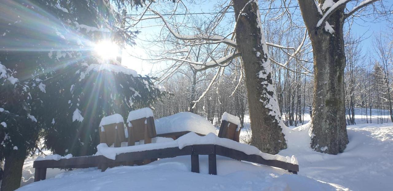 Penzion Harry Na Sjezdovce Krkonose Vysoké nad Jizerou エクステリア 写真