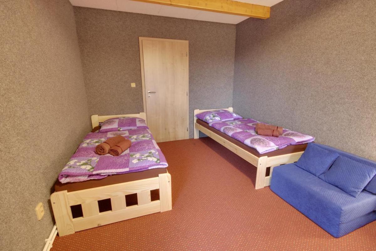Penzion Harry Na Sjezdovce Krkonose Vysoké nad Jizerou エクステリア 写真